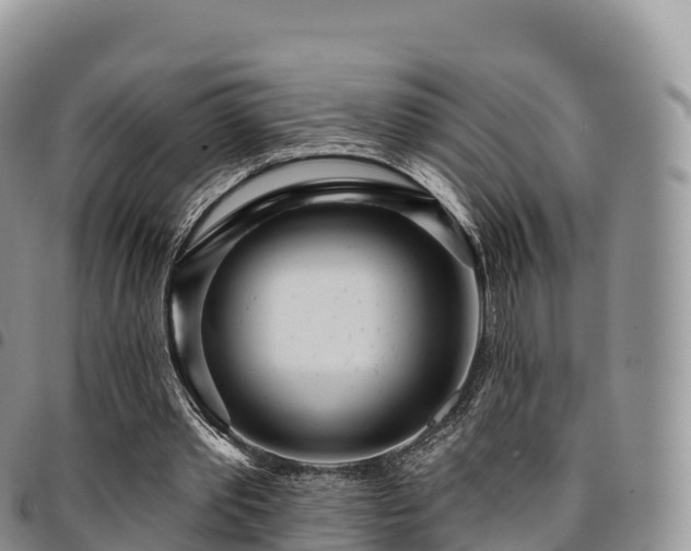X0000094920389200711291317