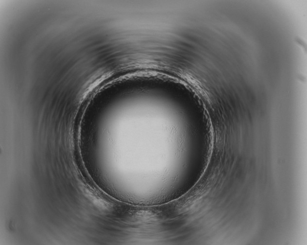 X0000094920390200711291317