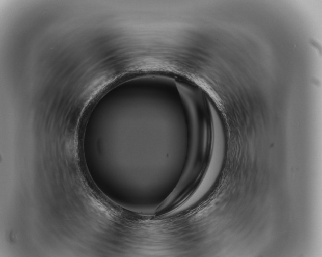 X0000094920391200711291317