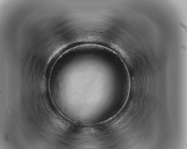 X0000094920392200711291317