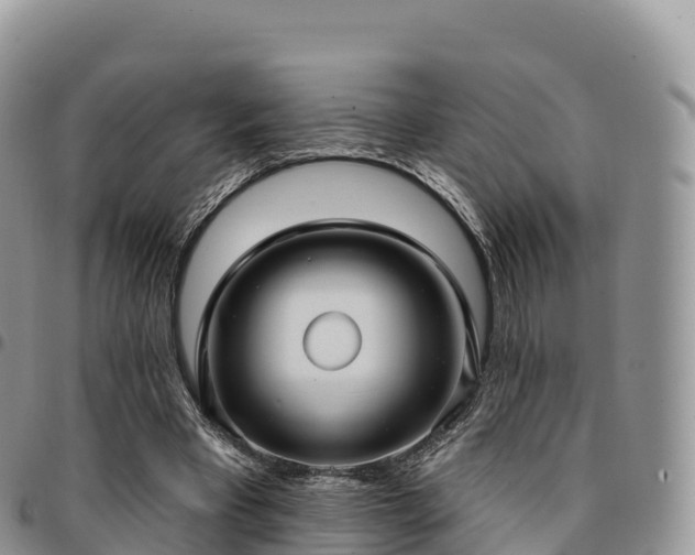 X0000094920393200711291317