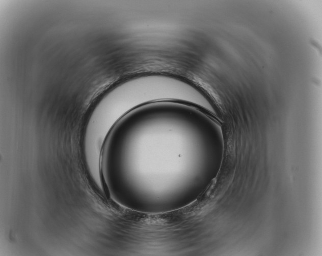 X0000094920403200711291317