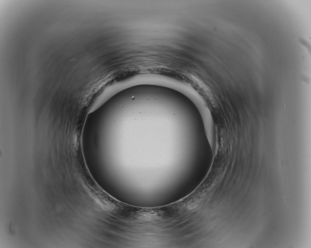 X0000094920405200711291317