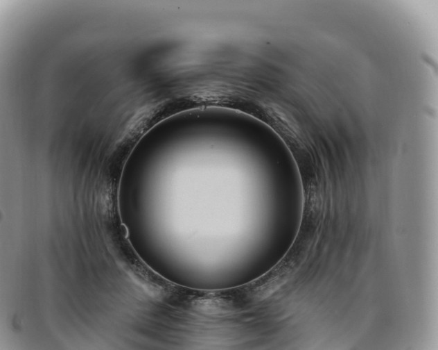 X0000094920408200711291317