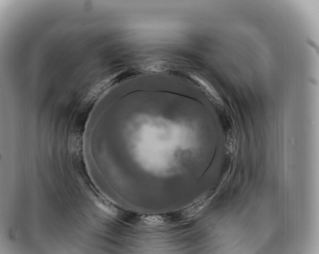 X0000094920409200711291317