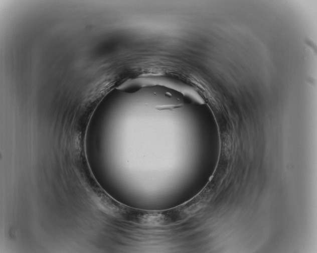 X0000094920410200711291317
