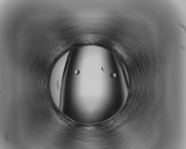 X0000094920411200711291317