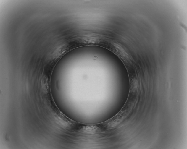 X0000094920414200711291317