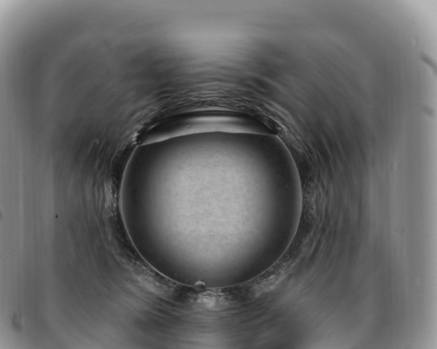 X0000094920420200711291316