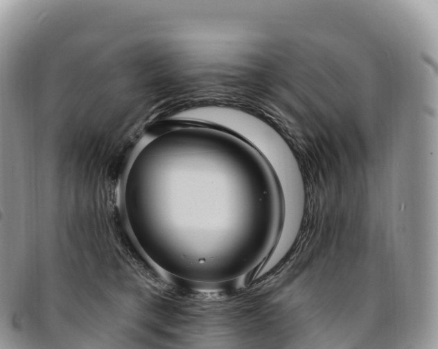 X0000094920421200711291316