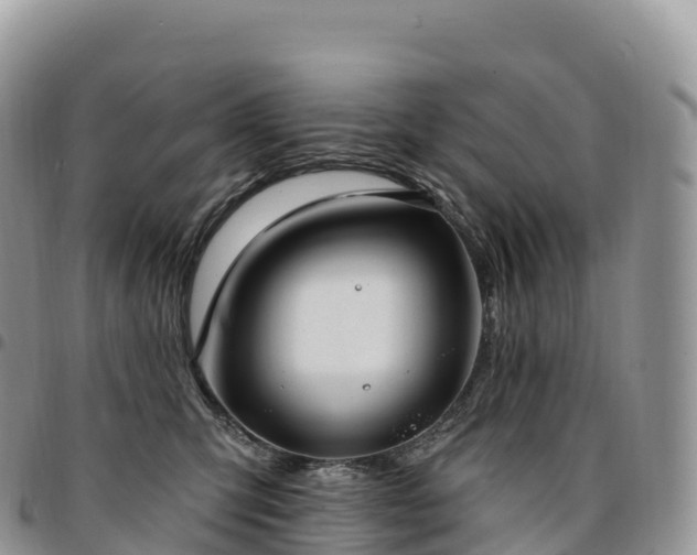 X0000094920423200711291316