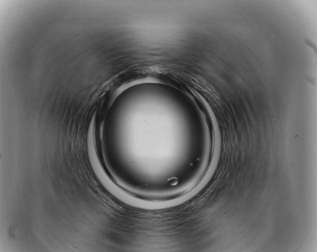 X0000094920425200711291316