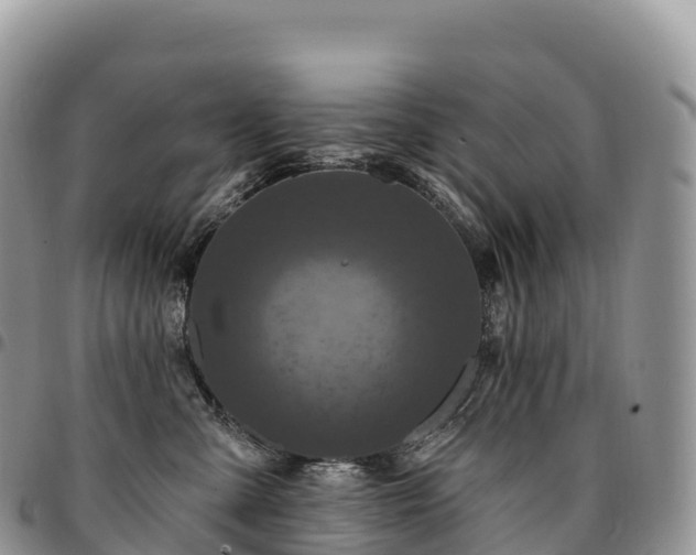 X0000094920427200711291316