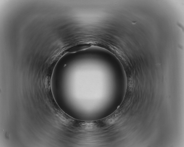 X0000094920428200711291316