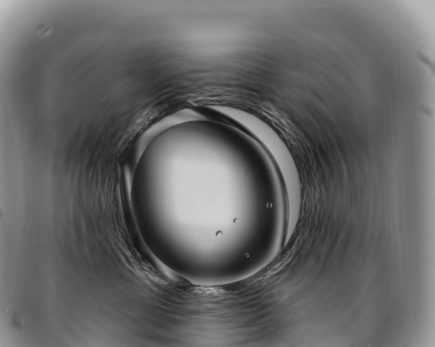 X0000094920429200711291316