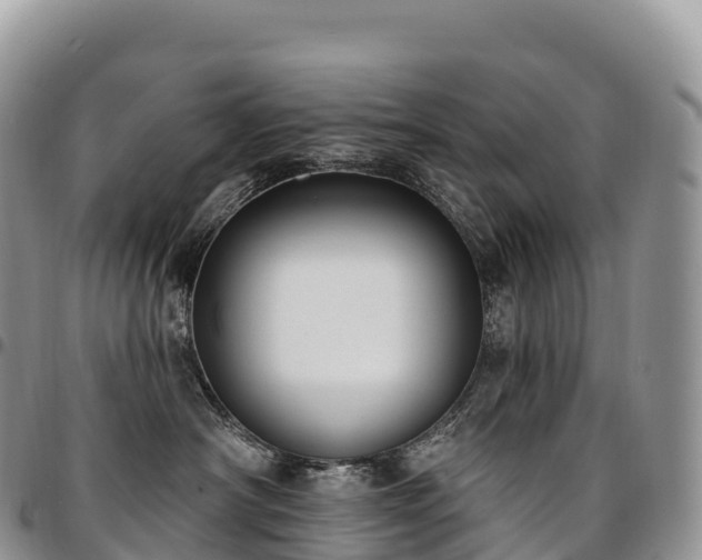 X0000094920430200711291316