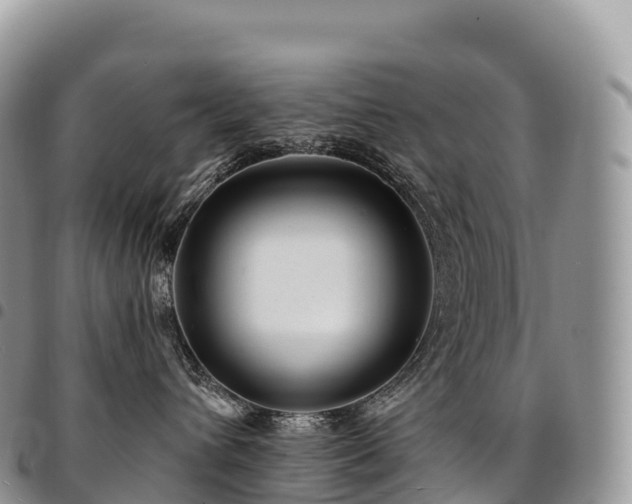 X0000094920432200711291316