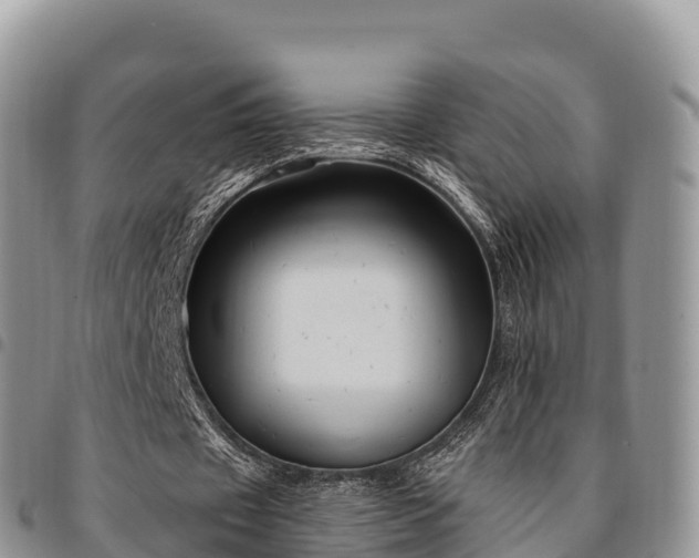 X0000094920433200711291316