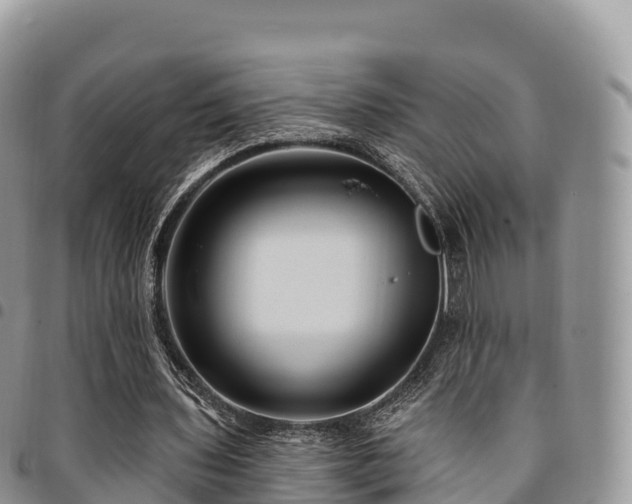 X0000094920435200711291316