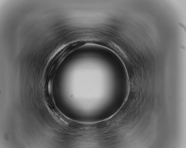 X0000094920436200711291316