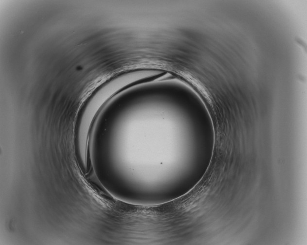 X0000094920437200711291316