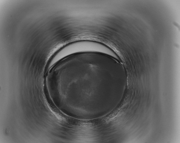 X0000094920438200711291316