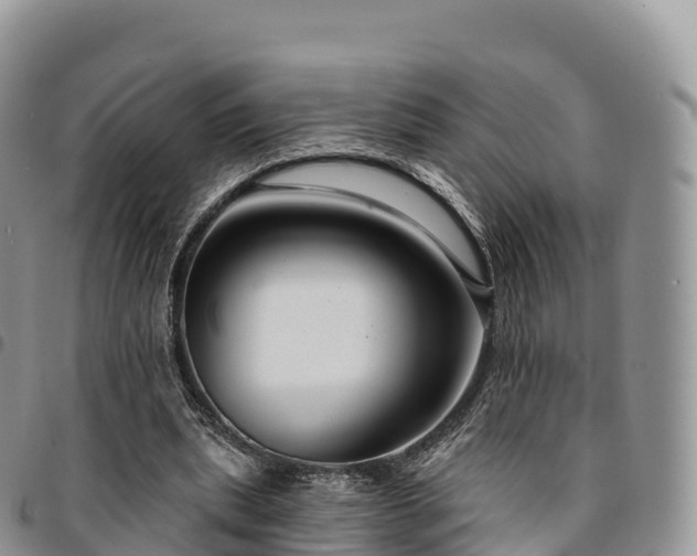 X0000094920439200711291316