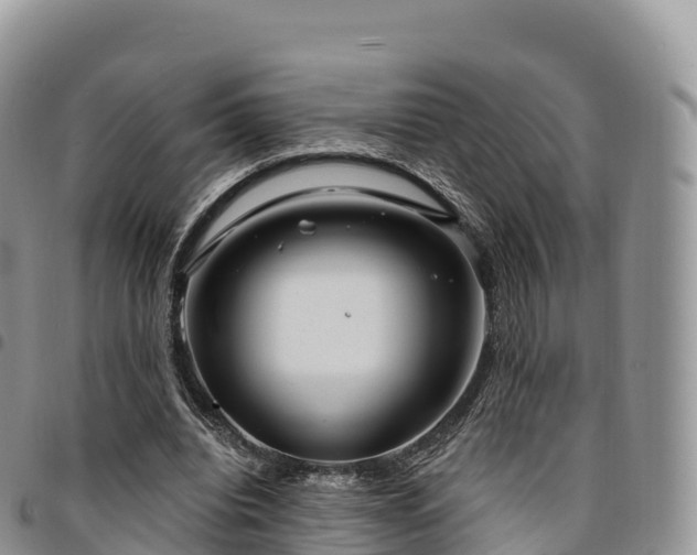 X0000094920440200711291316