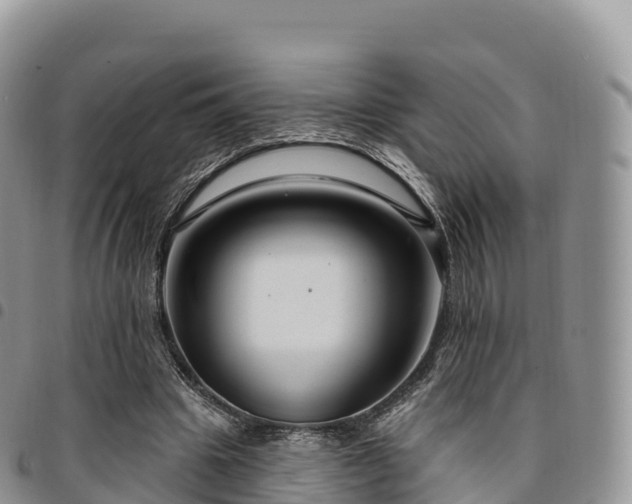X0000094920441200711291316