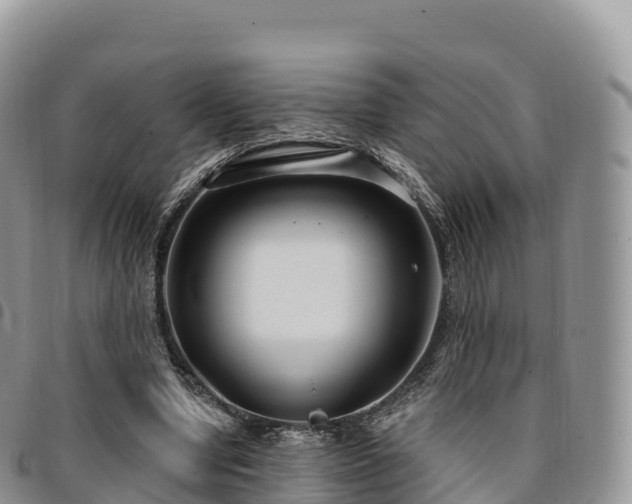 X0000094920442200711291316