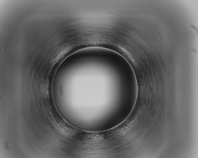 X0000094920443200711291316