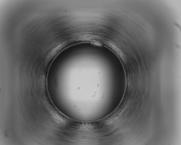 X0000094920445200711291316
