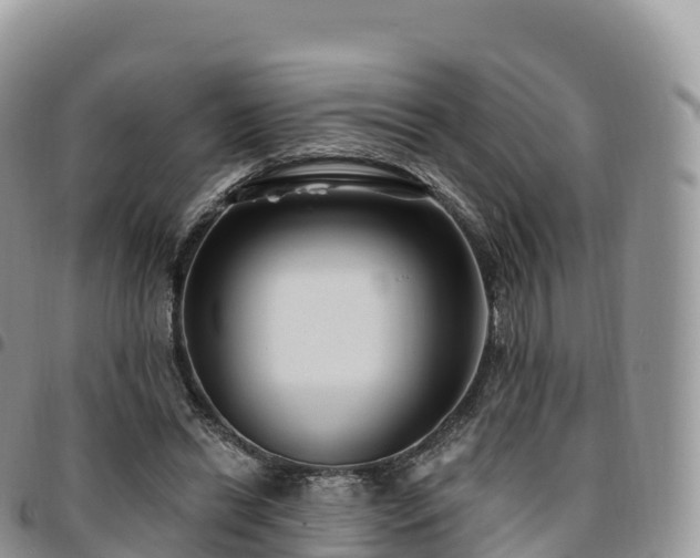X0000094920446200711291316