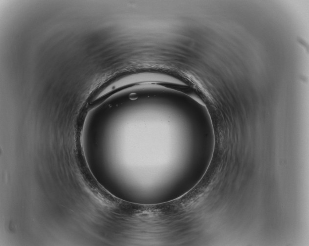X0000094920447200711291316