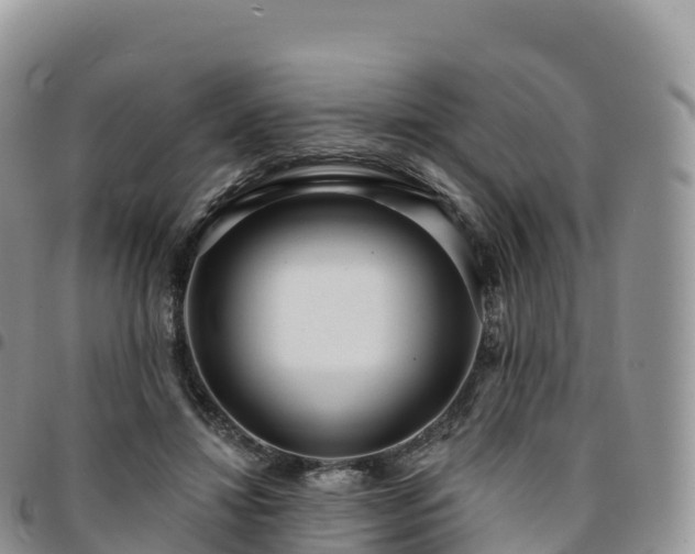 X0000094920452200711291316