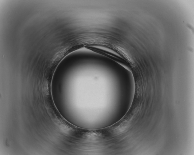 X0000094920453200711291316
