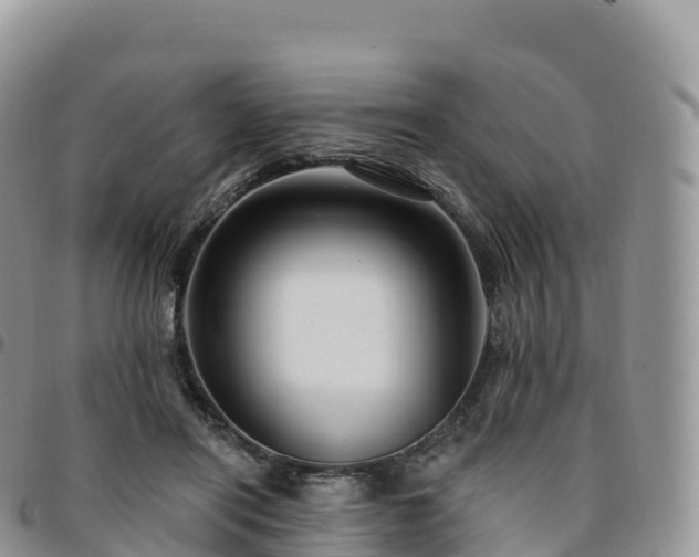 X0000094920454200711291316