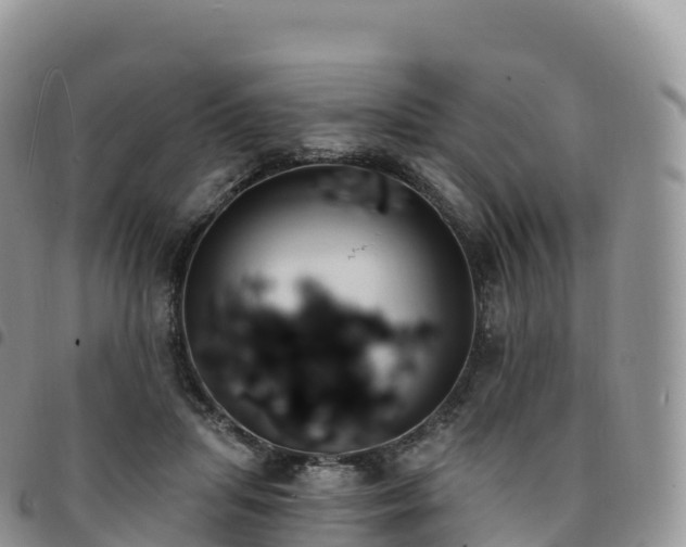 X0000094920455200711291316