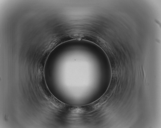 X0000094920460200711291316