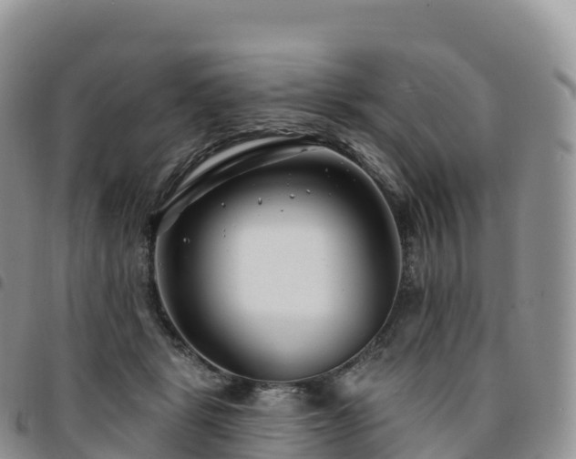 X0000094920461200711291316