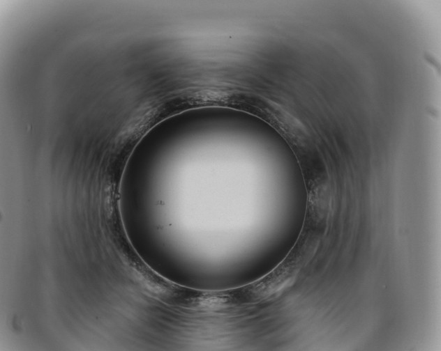 X0000094920462200711291316