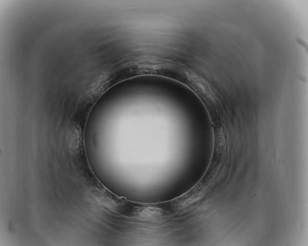 X0000094920463200711291316