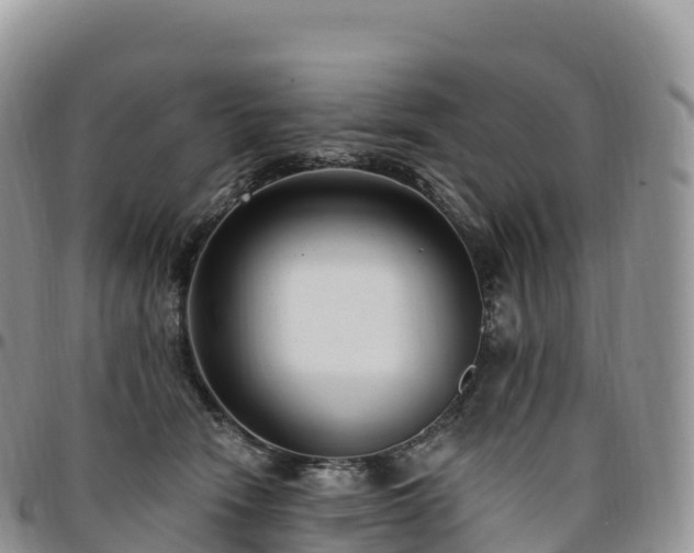 X0000094920466200711291316