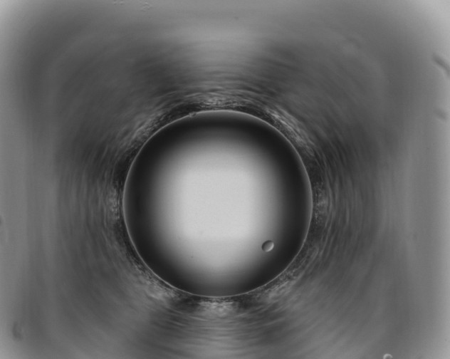 X0000094920469200711291316