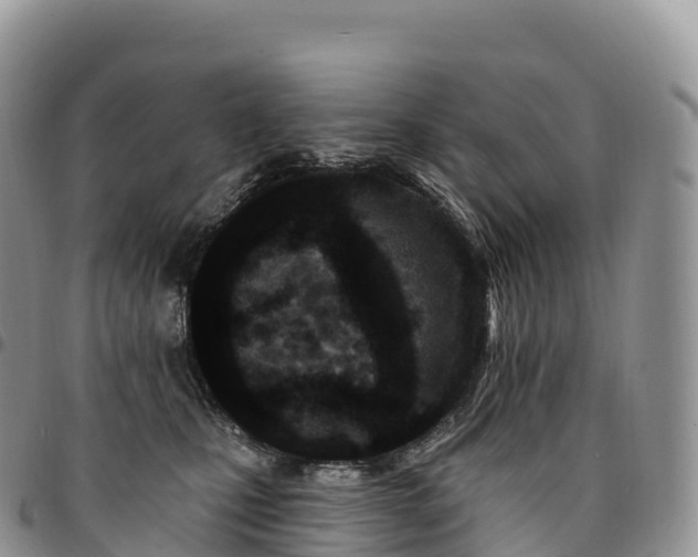 X0000094920471200711291316