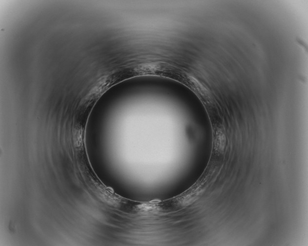 X0000094920477200711291316