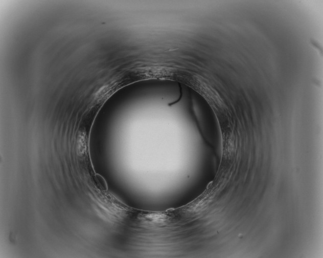 X0000094920478200711291316