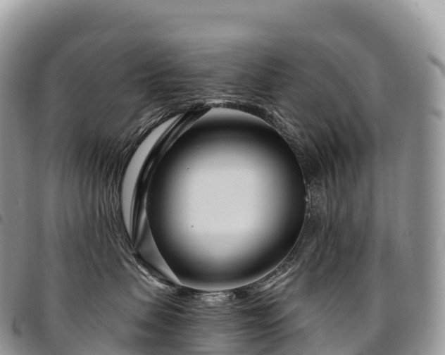 X0000094920479200711291316