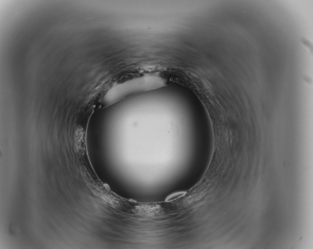 X0000094920480200711291316