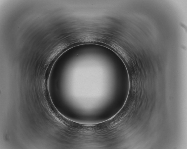 X0000094920485200711291316